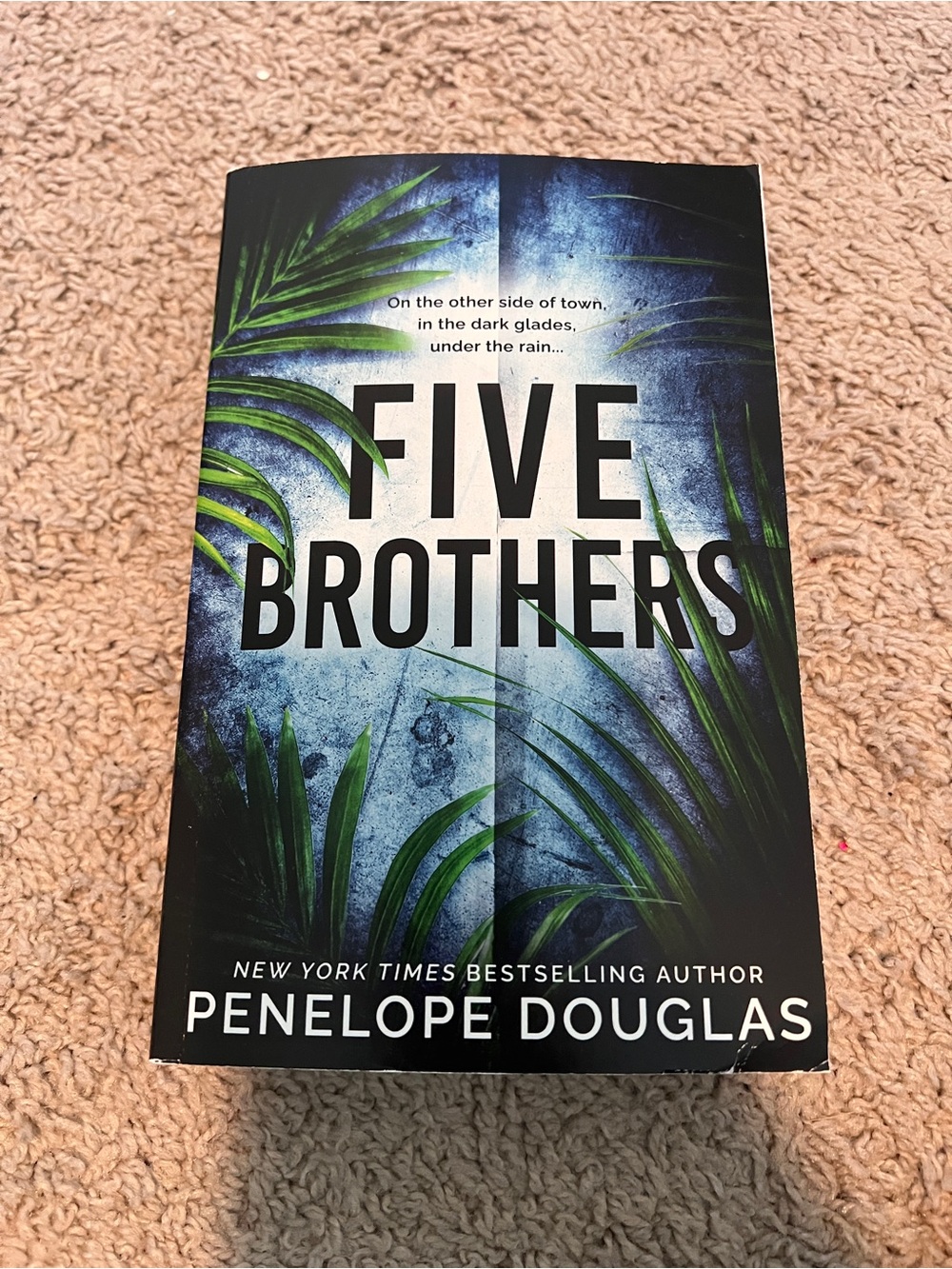 Five Brothers by Penelope Douglas Probably Smut edition book